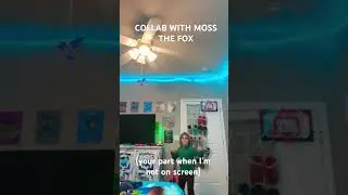 MOSS THE FOX COLLABORATE