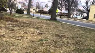 Spring 2015 Sprinkler Start-up!