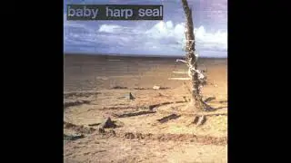 Baby Harp Seal - Baby Harp Seal 7