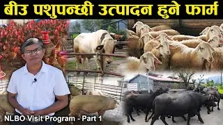 राष्ट्रिय पशु प्रजनन् कार्यालयको भ्रमणमा जे देखियो जस्ताको तस्तै | NLBO Visit Program Part 1