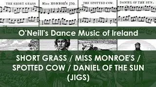 DMOI197-200 Short Grass/Miss Monroe's/Spotted Cow/Daniel of the Sun (Jigs on Irish tenor banjo)