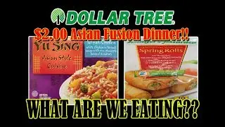Dollar Tree Asian Fusion Meal Combo! - WHAT ARE WE EATING?? - The Wolfe Pit