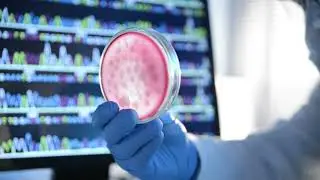 Mold testing and inspections in Los Angeles
