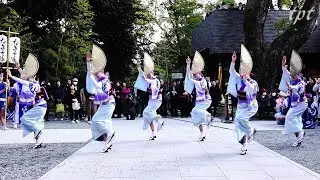 【記録】湘南なぎさ連  熱海 來宮神社 奉納踊り