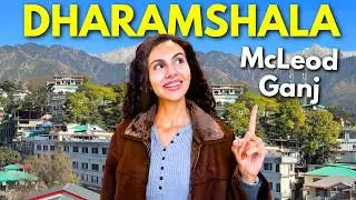 Впервые в Дхарамшале и Маклеод Гандже 🇮🇳 Цены и чего ожидать