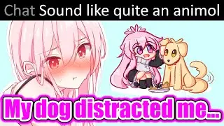Shachimu Gets Distracted by her IRL Dog mid-stream, Chat: