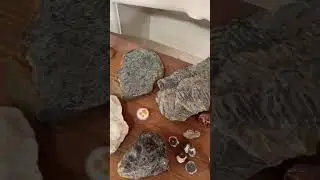 Fast Flood Fossils