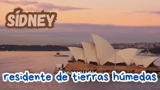 Sídney te va sorprender #Sídney #Australia #Viajes #ÓperaDeSídney #HarbourBridge #Short #TravelReel