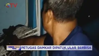 Petugas Damkar Sulsel Dipatuk Ular Berbisa Jenis Mamba Hitam #BuletiniNewsPagi 18/03
