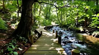 Relaxing Music for Restful Sleep & Inner Healing 🌙