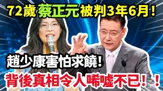 72歲蔡正元被判3年6月，趙少康害怕求饒，背後真相令人唏噓不已，鄭麗文深夜表態，一番話耐人尋味！