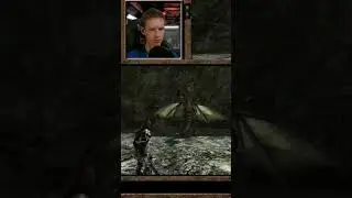 самый красивый дракон в готике 2 #стрим #прохождение #gaming #игры #gameplay #gothic