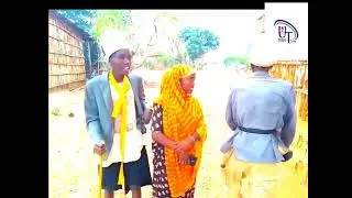 Diramaa  Jalallaaa Hiriyyaa Baraa Kanaa 🤣