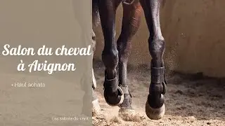Vlog : Salon du cheval à Avignon + Haul !