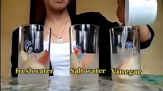 Simple Experiment Applying Basic Science Process Skills