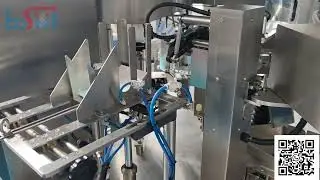 Automatic Koi Feed Packaging Machine | Premade Pouch Packing for Fish Food
