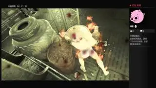 fallout4PS4播送