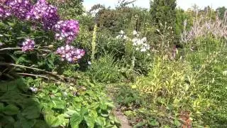 Summer stillness -slow TV