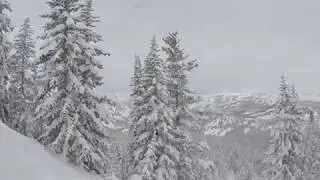 Brighton Resort | Utah | March 2019