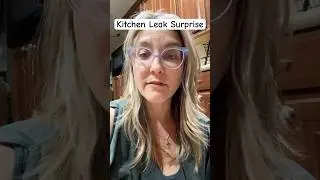 Kitchen Leak Surprise #leaking #kitchen #plumbing #ruined #bed #Disaster #leak