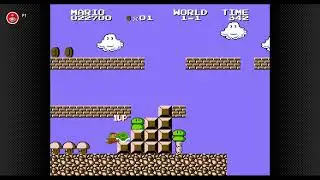 Super Mario Bros Infinite 1up