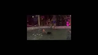 Ку-ку #shorts  #rave #rap #funny #dance #hiphop #music #ravers #юмор #techno  #rec