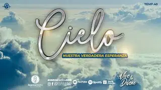 VIVE TU DISE&Ntilde;O T40 E3 | 