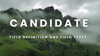 SAP SuccessFactors RCM Day 3 Part 1 Candidate Profile Intro, Field Definition and Field Types