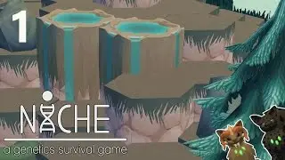 The Snowy Mountain Tops &bull; Niche &bull; Mountain Update &bull; Episode 1