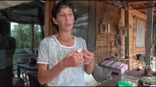 Gusci di uova preziosa fonte di calcio
