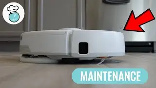 Narwal Freo Pro Vacuum Maintenance Tutorial