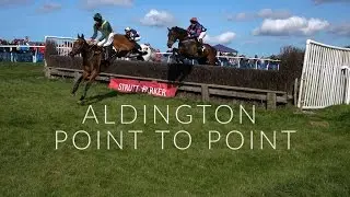 Aldington Point To Point 2017, Horse Racing
