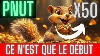 PNUT : Est-ce que je dois acheter le meme coin solana ?
