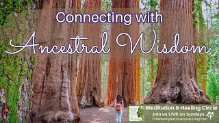 Connecting With Ancestral Wisdom