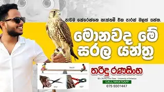 සරල යන්ත්&zwj;ර | 9 ශ්&zwj;රේණිය | විද්&zwj;යාව |  sarala yanthra | science sinhala