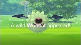Shiny Woobat! Should I Evolve It? #pokemon #pokemongo #woobat #shinypokemon #shorts
