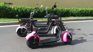 EEC citycoco scooter r804s r804r and r804x