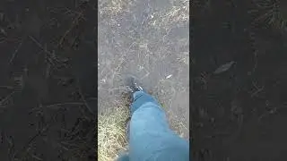 ice