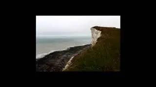 (FREE) 