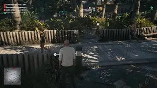 HITMAN banana