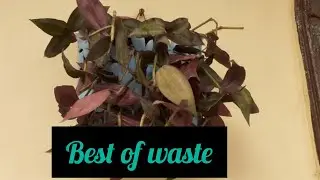 Best use of waste material||waste spoon stand se bnaya ek hanging planter🎍