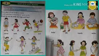 How Our Body works | Social Studies & EVS
