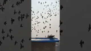 Nanne bhaiya talim Dr aswaar  151 ka shok 