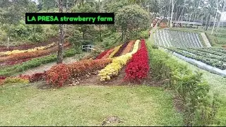 For to this video dito tayo ngayon sa LA PRESA STRAWBERRY FARM