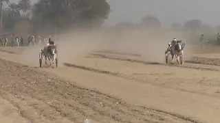 January 27, 2026_دربار 22 شہیدا ( بڑا جلسہ)لودھرا New_video_Dil Dil Pakistan bail race on YouTube
