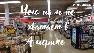 Американский шопинг: Winn-Dixie, радующий душу. Русскоязычный Майами. Открыть банковский счет.