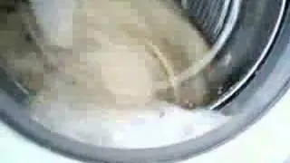 Boil Wash 95*