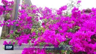 GIRO DE NOT&Iacute;CIAS - Destaques Gerais de Linhares e Regi&atilde;o