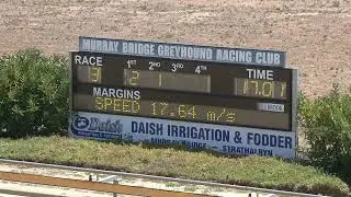 Murray-Bridge-Straight-20012026-Race-3