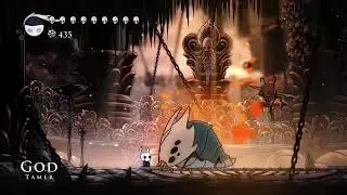 Hollow Knight | God Tamer | Radiant